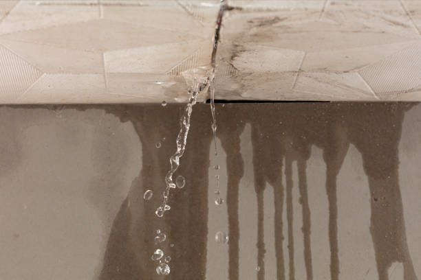 Professional Burst Pipe Cleanup technician working in Colfax, WA